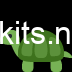 🐢