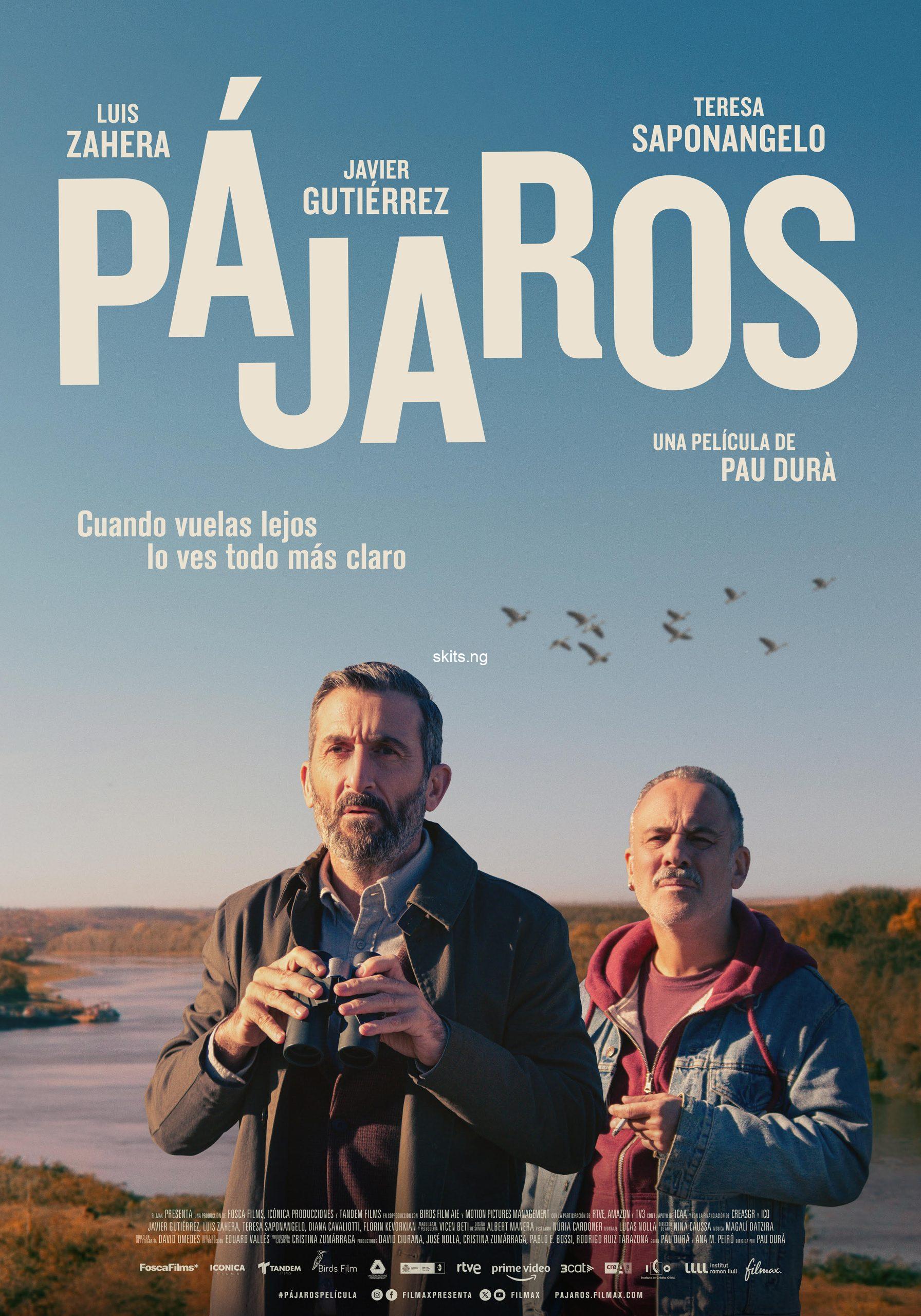 Birds flying east 2024 movie