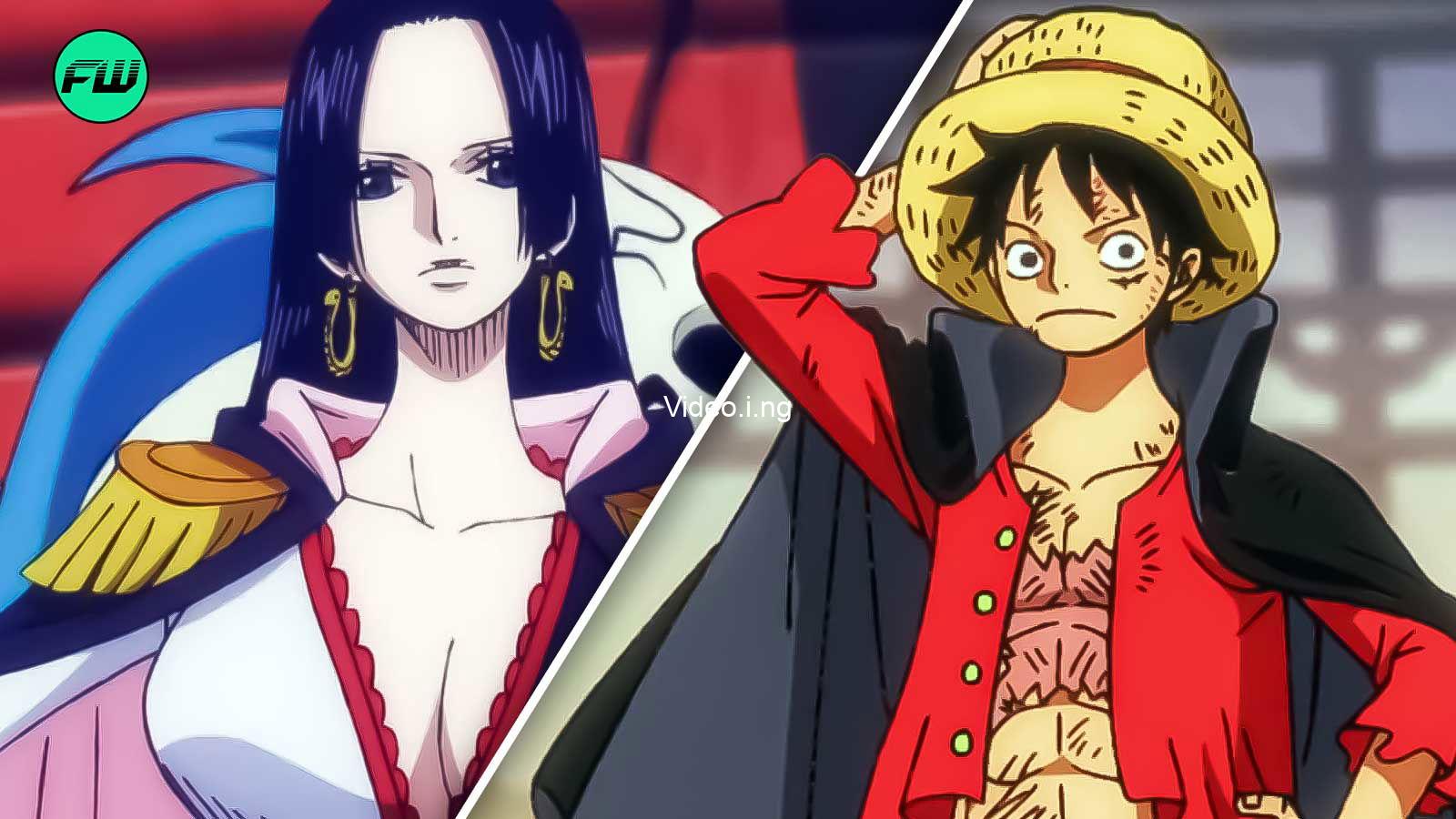 Luffys lack of attraction to any female makes boa hancocks goal to marry luffy even difficult than zoro beating mihawk in a rematch