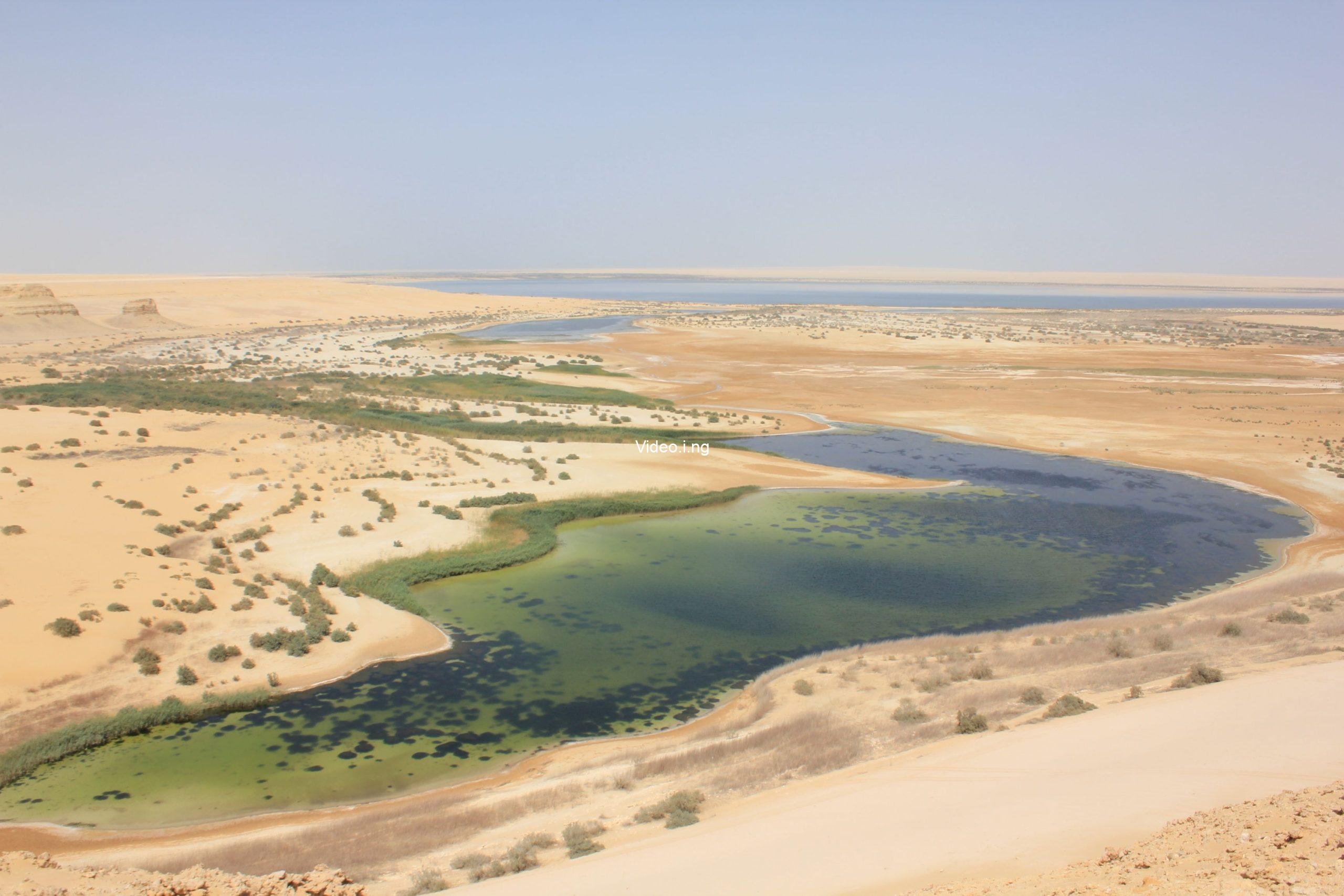 Photo of the Week: When the desert taught me I was tropical