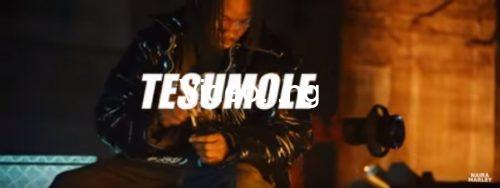 Tesumole cover