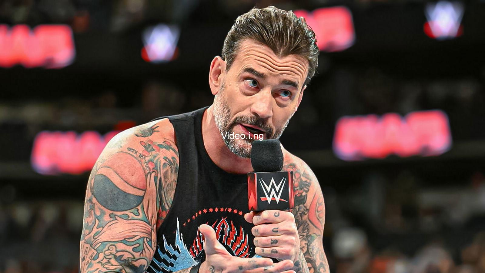 Fact check does cm punk have fake hair