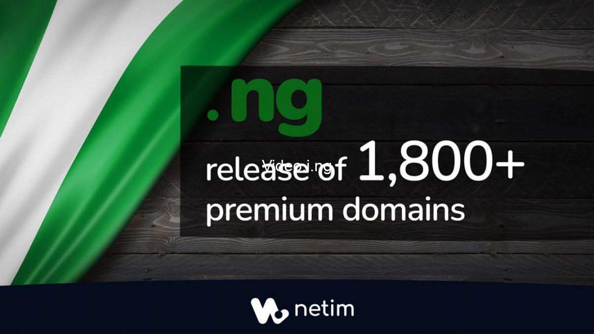 Reselling domains in nigeria a summary of how to earn fast from premiumdomains ng