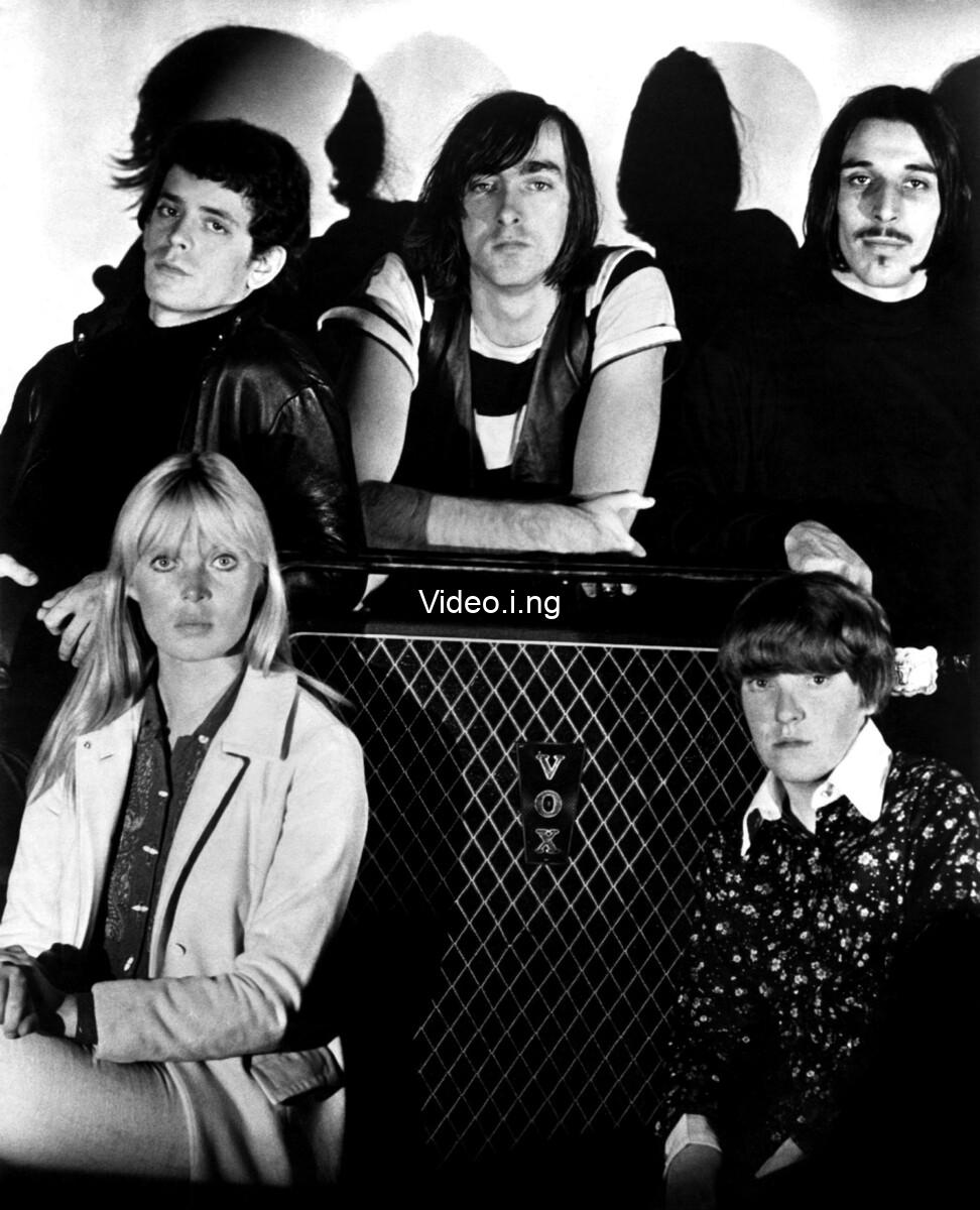 The velvet underground