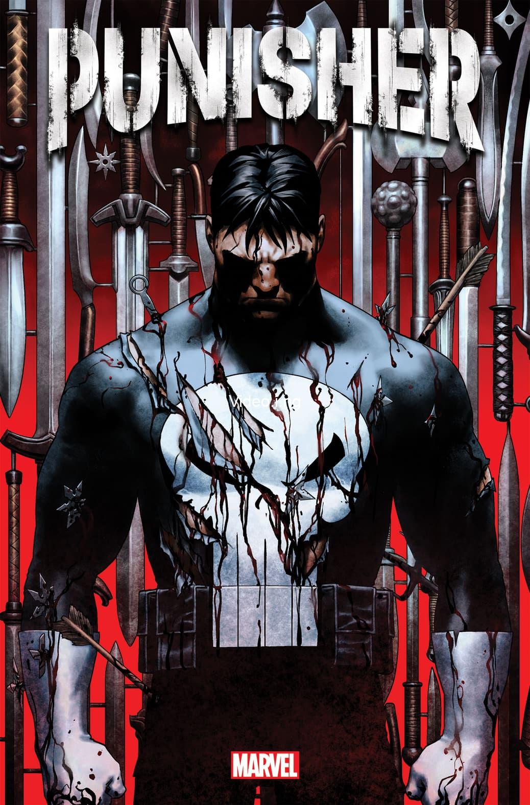 The punishers mcu future daredevil spin off tv show get updates