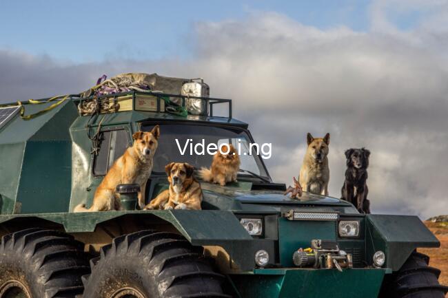 All Factions in Wardogs, Explained