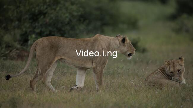 Lioness Season 3 Episode 4 Recap: What Does the SVR Want With Joe?