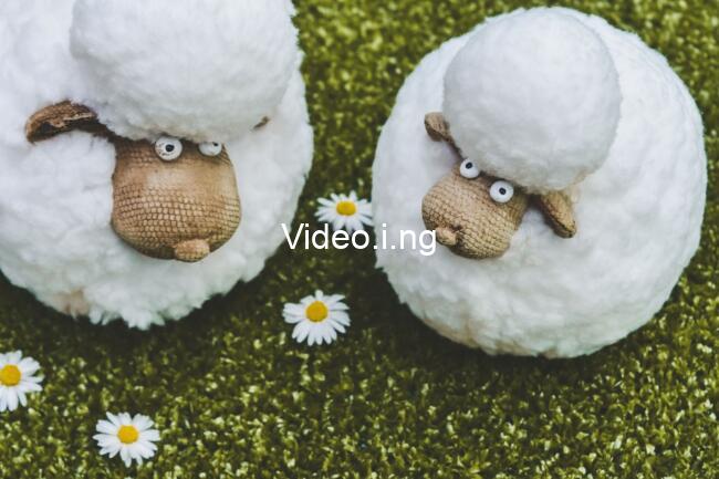 Shaun the Sheep: The Beast of Mossy Bottom Review: A Bloody Charming and Wonderful Silly Family Film