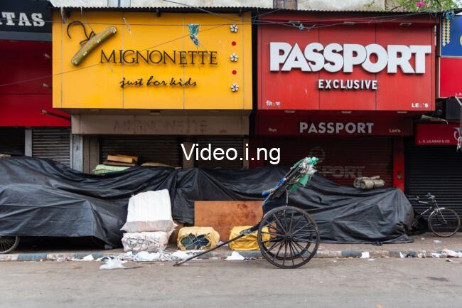 TIFF 2026: Trash Mountain, Babies, Everybody Wants to F*ck Me